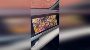 Geely Monjaro. Живые обои на пассажирском экране