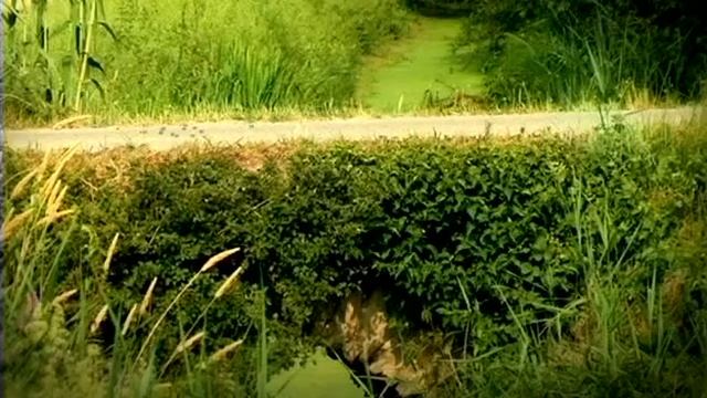 10 Конвой смотреть онлайн