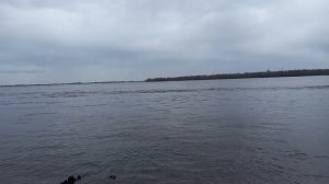 На берегу реки