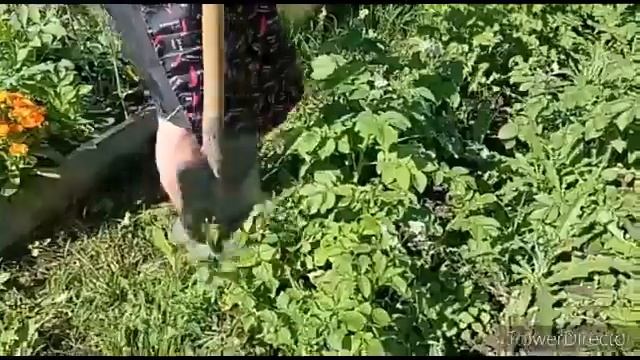 Дела кулинарные или тандыр -гушт. смотреть онлайн