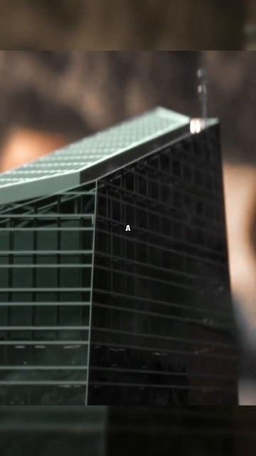 Нашли в холодильнике иную цивилизацию 😍 #shorts #фильм #с смотреть онлайн