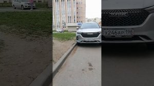 Погода в Санкт-Петербурге Невском районе 
дворы Подвойского