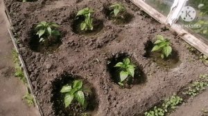 Влог выходного дня /холодно, а кушать хочется/