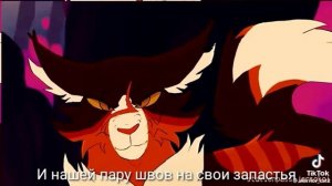 /Клип Кленовница нейротоксин\