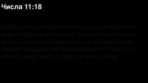 Числа, глава 11