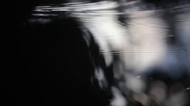 Запутавшись в дождях смотреть онлайн