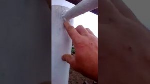 Раскол для себя КРС своими руками