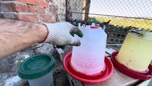 Поилки для домашней птицы . Какая поилка для кур лучше?