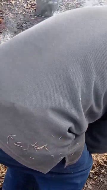 #поросята #сарай #свинарник #свині # смотреть онлайн