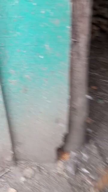 (Нашел какой-то Сарай) Стал гномам. (13 Часть.) смотреть онлайн