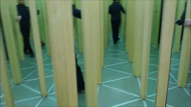 Зеркальный лабиринт 2019