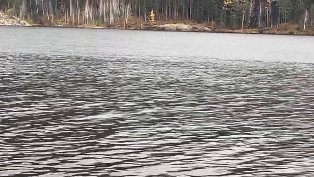 Ходим гуляем по берегу реки Енисей. смотреть онлайн