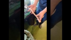 трогательный зоопарк в парке Революции