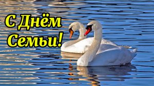 С Днём  Семьи. Красивое поздравление с праздником!