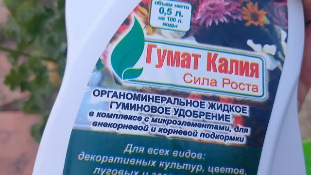 Чем удобряю цветущие растения 🌹/ #сад #удобрение
