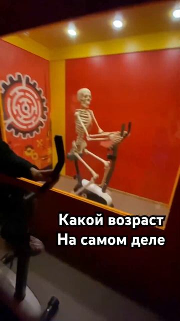 Моменты 👻#жизнь #life#video#топор#карелия#изба#travel #wonderful #vi смотреть онлайн