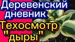 ДЕРЕВЕНСКИЙ ДНЕВНИК. "ТЕХОСМОТР ДЫРЫ"