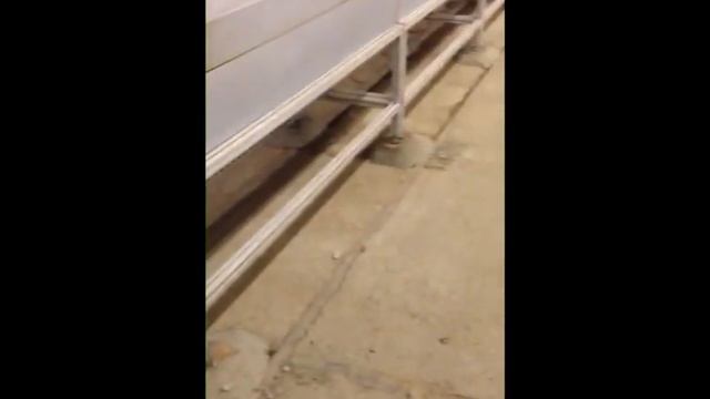 Линия для производства композитной арматуры