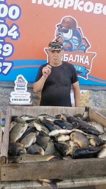 50 кг из Поярково смотреть онлайн