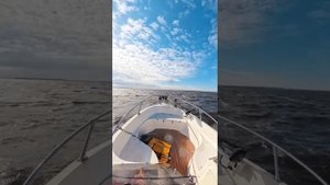 Рыбачим в удовольствие!