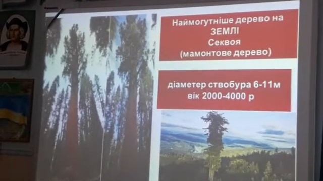 Природні зони Північної Америки смотреть онлайн