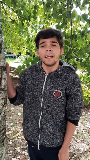 Дурнев Александр Н. Рубцов "Березы" смотреть онлайн