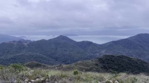 Совместимость женщина-Скорпион и мужчина-Лев