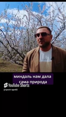 Горький миндаль - лекарство для человека.