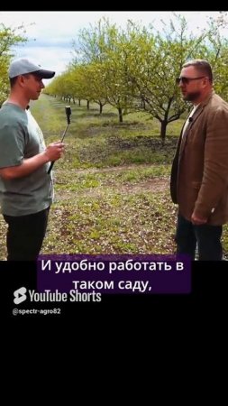 Цветочки под ногами и над головой. Миндаль