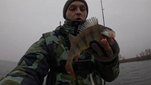 Открытие сезона ЖИДКОЙ ВОДЫ 2025 в ФЕВРАЛЕ ловим на СПИН