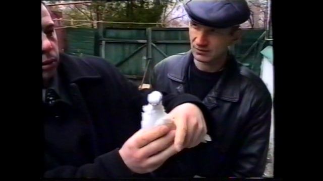 ВОРОНЕЖСКИЙ КЛУБ ГОЛУБЕВОДОВ