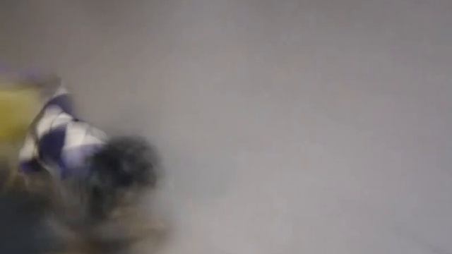 Веня и воздушный шарик смотреть онлайн