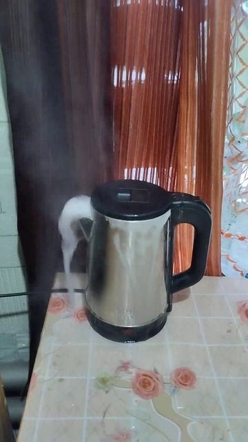 Чайник закипел смотреть онлайн