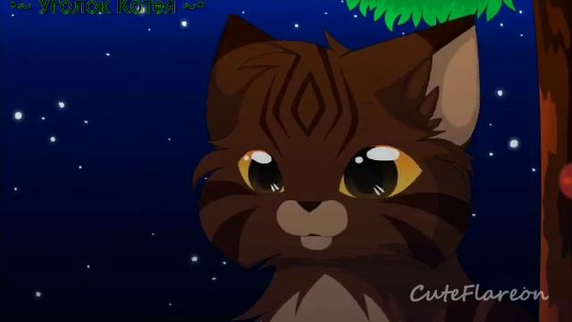 • Warriors Cats • ~ { Малиновый свет } ★ читайте описание ★ смотреть онлайн