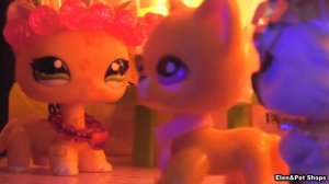 LPS: ТОЛСТАЯ КРАСАВИЦА 26 серия