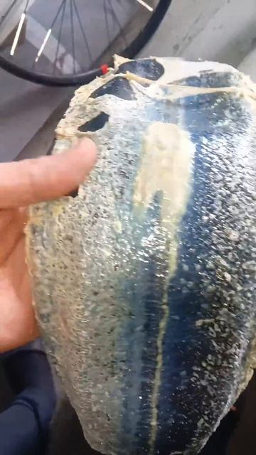 #бескамерный #герметик #велосипеда #за #год #катания смотреть онлайн