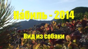 Набиль – 2014 (Вид из собаки).
