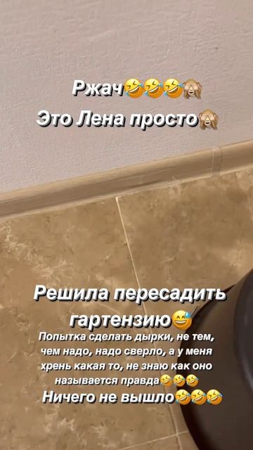 Попытка пересадить гортензию #нетакаякаквсе #домснул?
