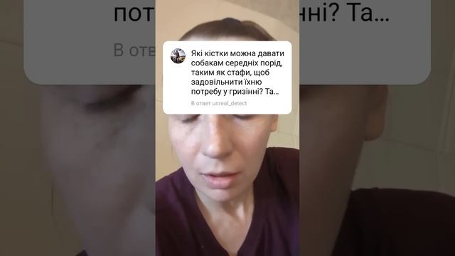 кости в рационе собак или что грызть собаке?