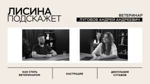 Как выбрать ветеринара?| ЛИСИНА ПОДСКАЖЕТ