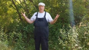 ТЫКВА И КАБАЧКИ ГУБЯТ ВАШИХ КУР !!! 10.08.2024 год.