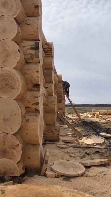 Торцовка и Разметка сруба ! #рубленыедома #строительст смотреть онлайн