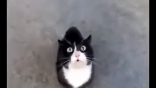 Где детонатор прикол