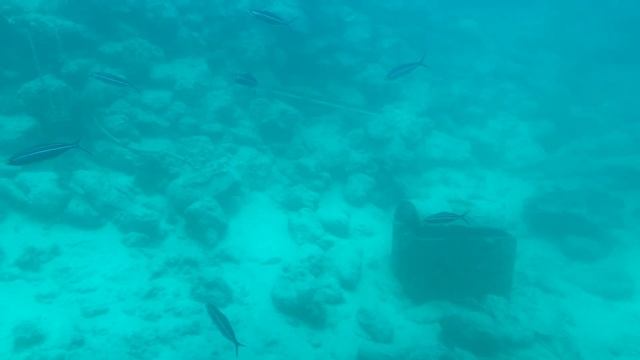 Проплываем остатки кораблей , вид с подводной лодки  Египет