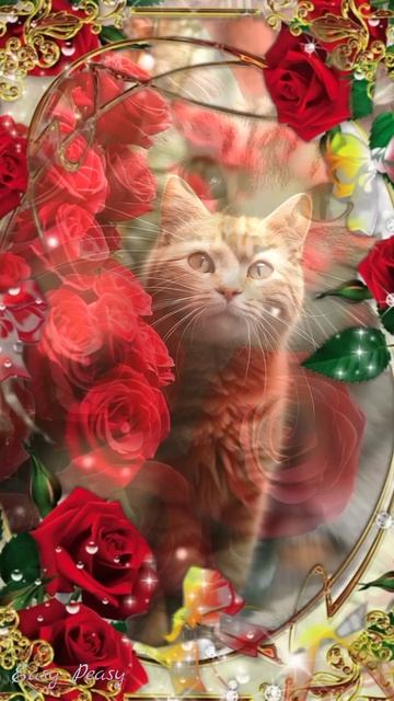 💐Днем Рождения🎂💗Красивое музыкальное пожелание ? смотреть онлайн