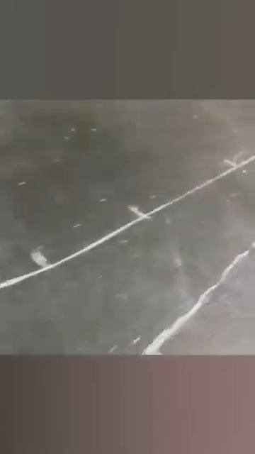 23 января 2025 г. смотреть онлайн