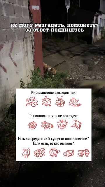 Поддержи подпиской, есть мечта стримить🤙 смотреть онлайн