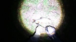 Slingshot. Линь на рогатку ночью✌😎