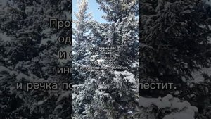 Песня на стихи Пушкина. Мороз и солнце. #пушкин #морози?