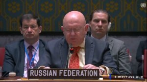 🇷🇺🇺🇳 Выступление В.А.Небензи на заседании Совета Безопасности ООН по Йемену 📍 Нью-Йорк, 14 мая